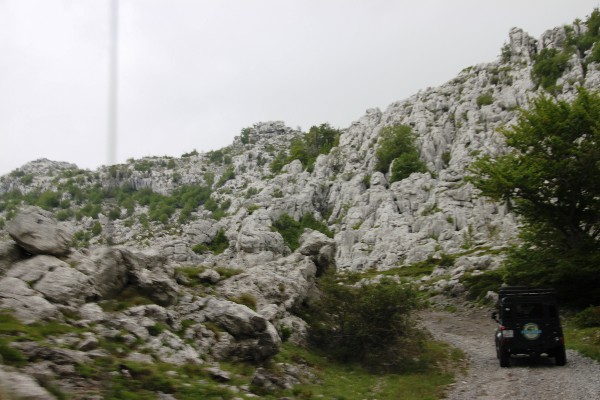 ../Images/2012.05.22 (118).jpg